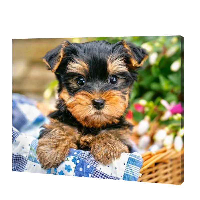 Best Selling Diamond Paintings Diamond Painting Hub Canada best-selling-diamond-paintings-diamond-painting-hub-canada