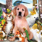 Load image into Gallery viewer, Animals together Diamond Painting
