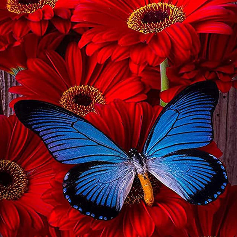 Butterfly In Flowers | Diamond Painting