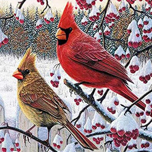 Cardinal Bird Diamond Painting