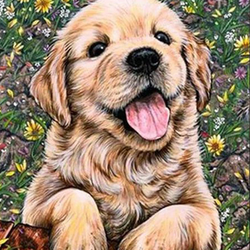 Cute Dog Puppy | Diamond Painting