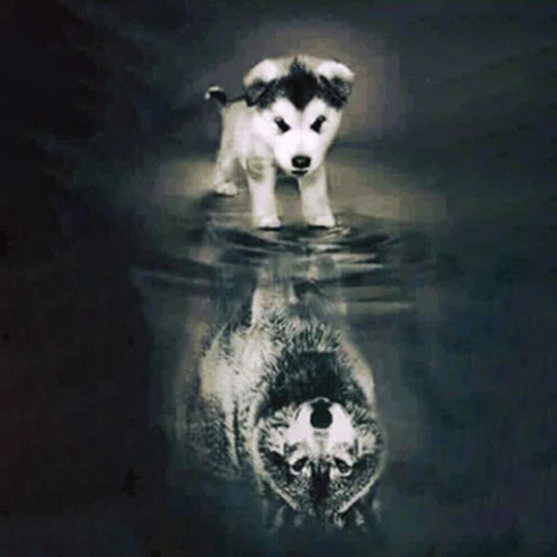 Husky Wolf Reflection | Diamond Painting