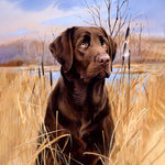 Load image into Gallery viewer, Labrador In A Field | Diamond Painting
