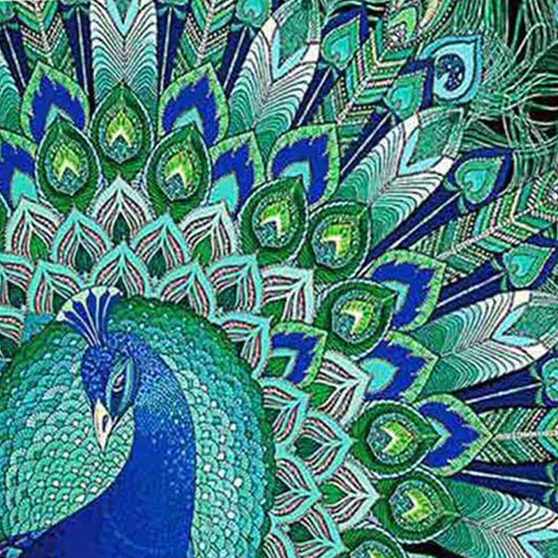 Peacock Beauty Diamond Painting