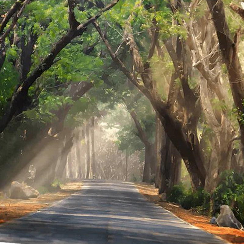 Road Covered With Trees | Diamond Painting