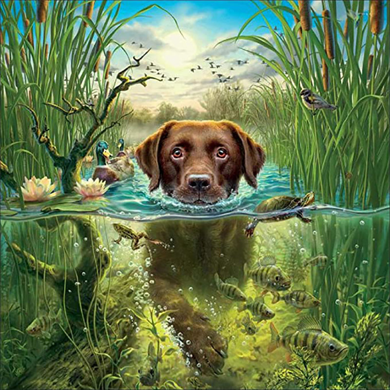 Swimming Dog | Diamond Painting