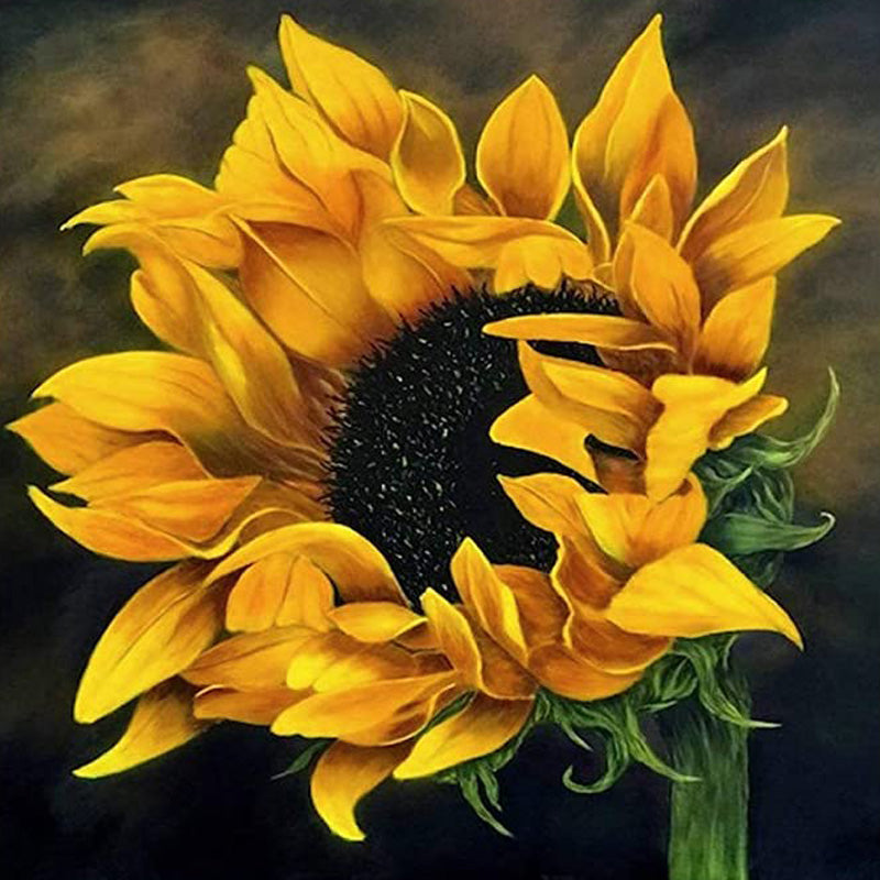 The Shy Sunflower | Diamond Painting