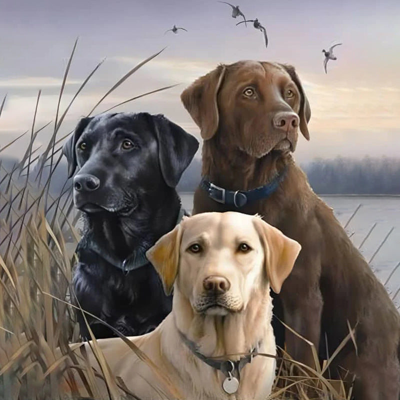 Three Dogs In A Field | Diamond Painting