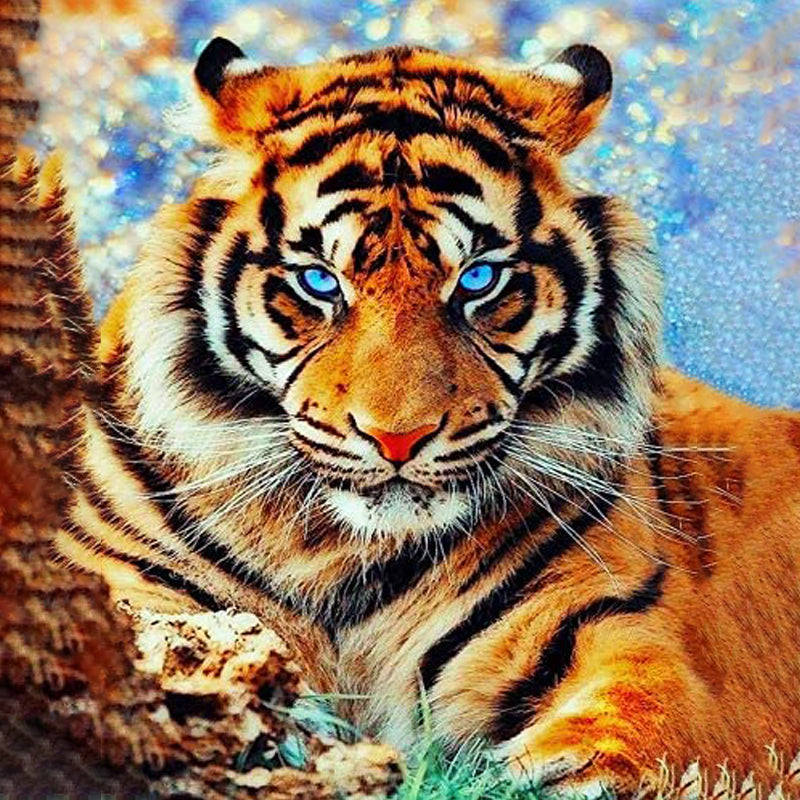 Tiger With Blue Eyes | Diamond Painting