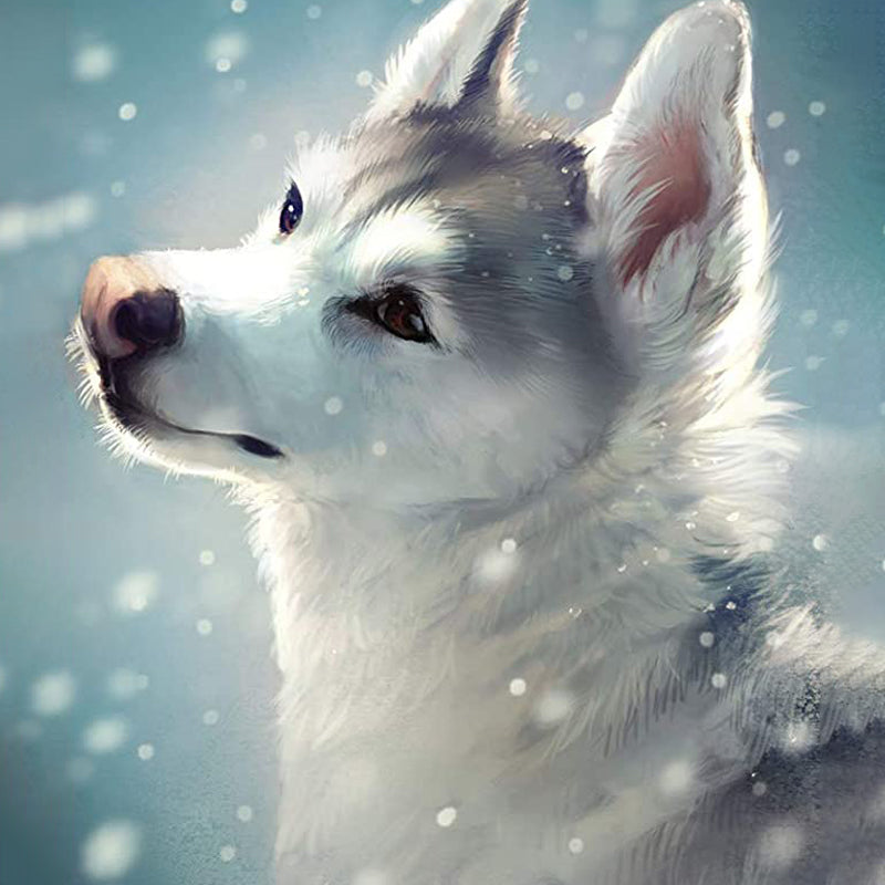 White Wolf In Snow | Diamond Painting