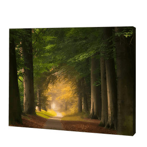 Beautiful Path Between Trees | Diamond Painting