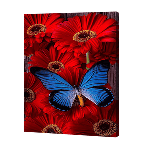 Butterfly In Flowers | Diamond Painting