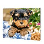 Load image into Gallery viewer, Dog In A Basket | Diamond Painting

