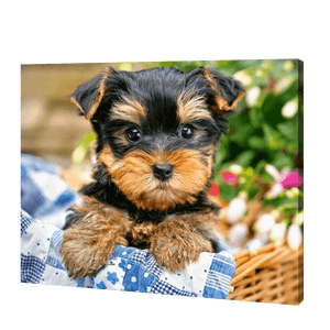 Dog In A Basket | Diamond Painting