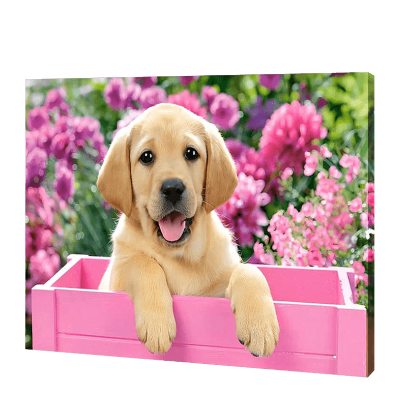 Dog In A Pink Box | Diamond Painting