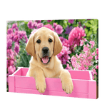 Load image into Gallery viewer, Dog In A Pink Box | Diamond Painting
