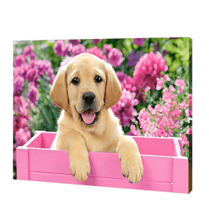 Dog In A Pink Box | Diamond Painting