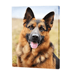 Load image into Gallery viewer, German Sheppard | Diamond Painting
