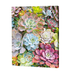Load image into Gallery viewer, Hen &amp; Chicks Flowers | Diamond Painting
