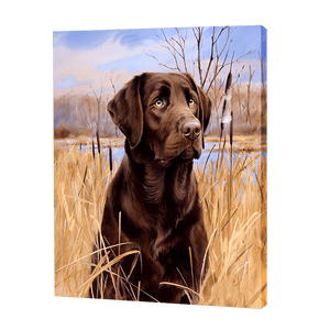 Labrador In A Field | Diamond Painting