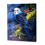 Load image into Gallery viewer, Parrot At Night | Diamond Painting

