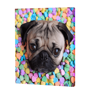 Pug With Candies | Diamond Painting