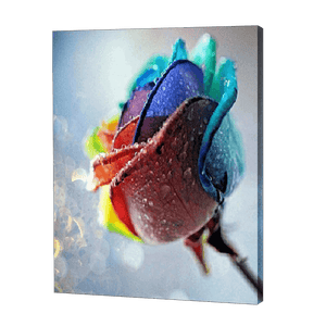 Rainbow Dewy Rose | Diamond Painting