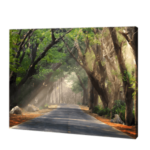 Road Covered With Trees | Diamond Painting