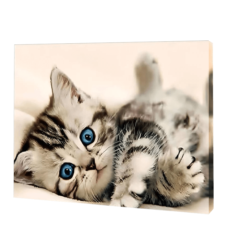 The Kitten With Blue Eyes | Diamond Painting