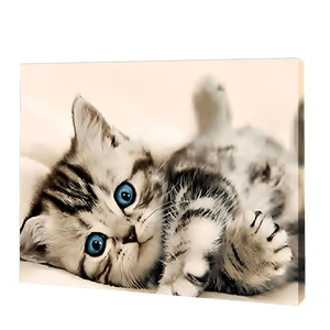 The Kitten With Blue Eyes | Diamond Painting