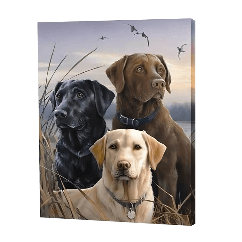 Three Dogs In A Field | Diamond Painting