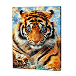 Load image into Gallery viewer, Tiger With Blue Eyes | Diamond Painting
