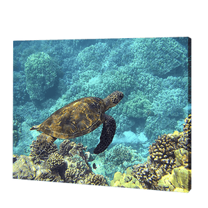 Turtle In Blue Waters | Diamond Painting