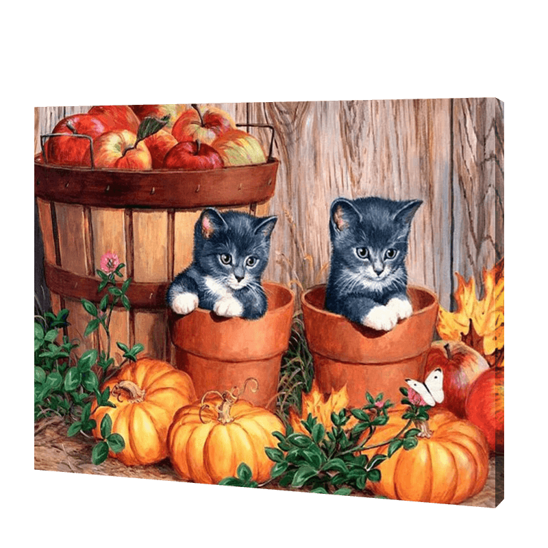 Two Kittens With Pumpkin | Diamond Painting