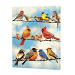 Load image into Gallery viewer, Variety Of Birds | Diamond Painting
