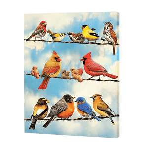 Variety Of Birds | Diamond Painting