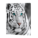 Load image into Gallery viewer, White Tiger | Diamond Painting
