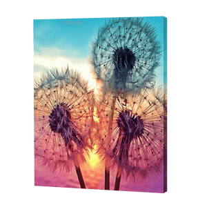 Dandelions In A Sunset | Diamond Painting